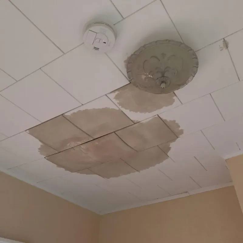 Ceiling Water Damage Repair in McNairy County, TN