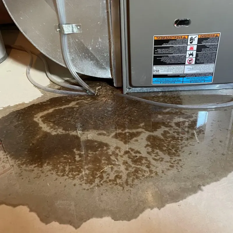 Pipe Burst and Leak Restoration in McNairy County, TN