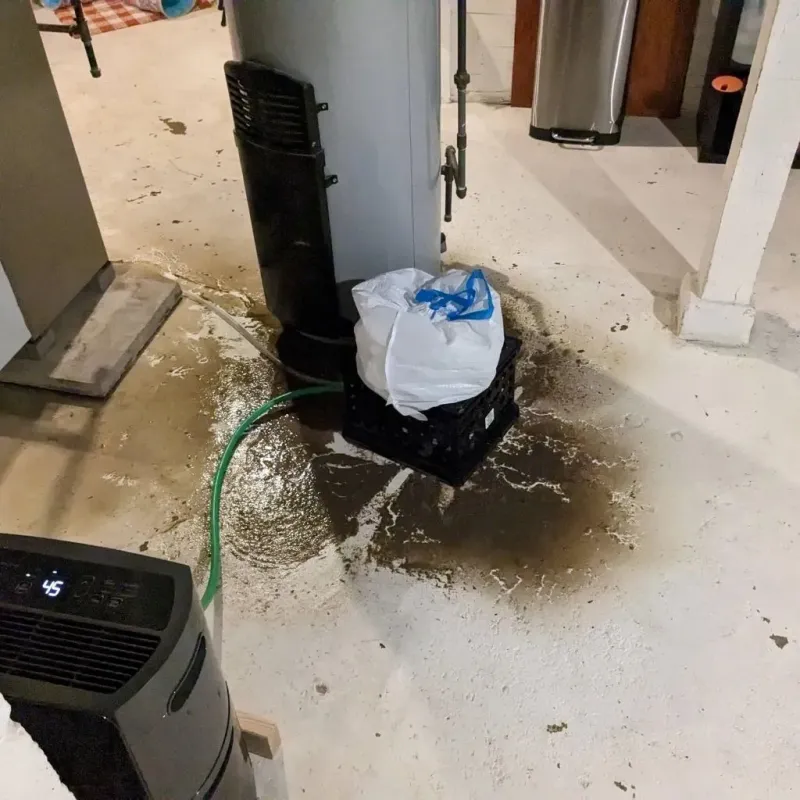Sewage Backup Cleanup Service in McNairy County, TN